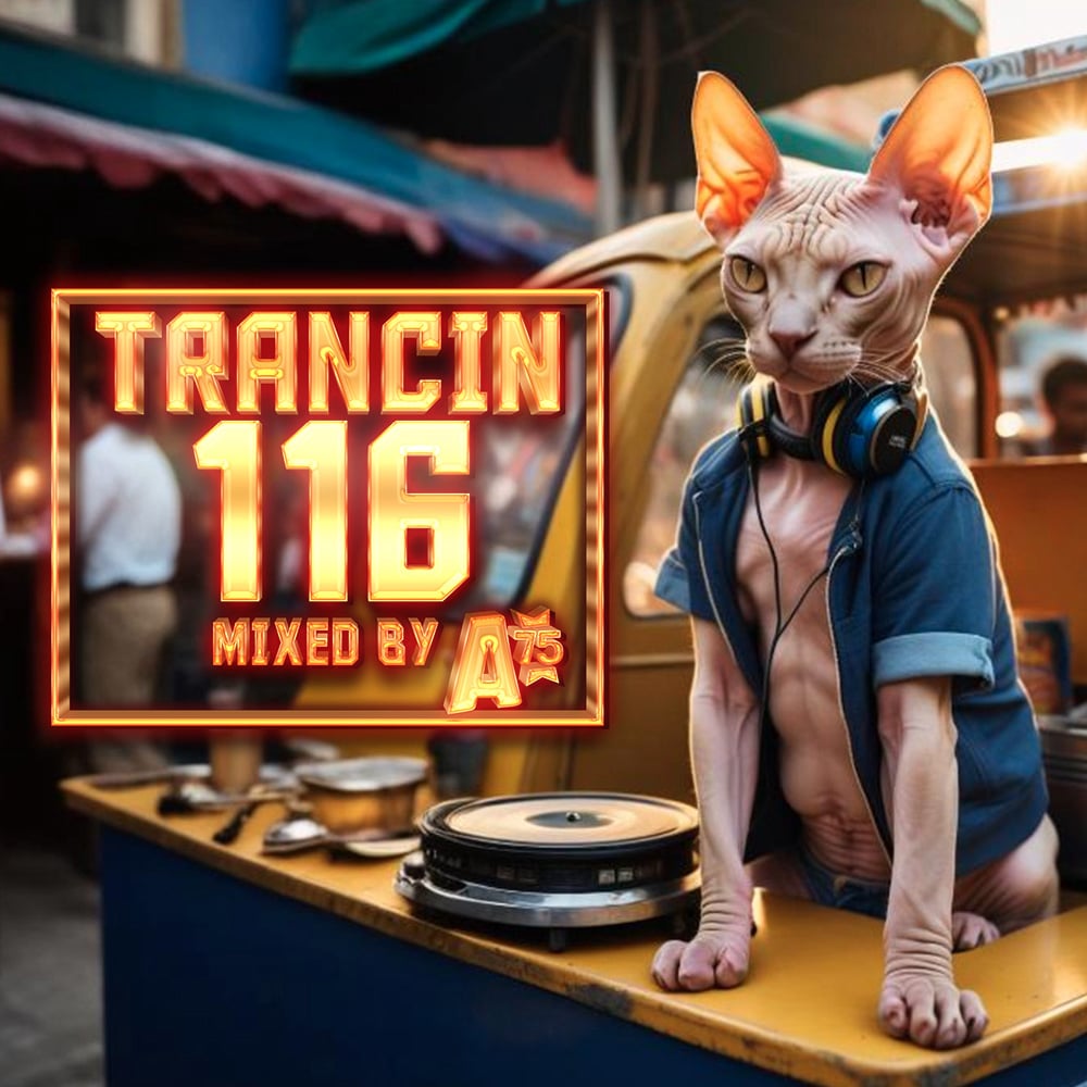 Trancin 116