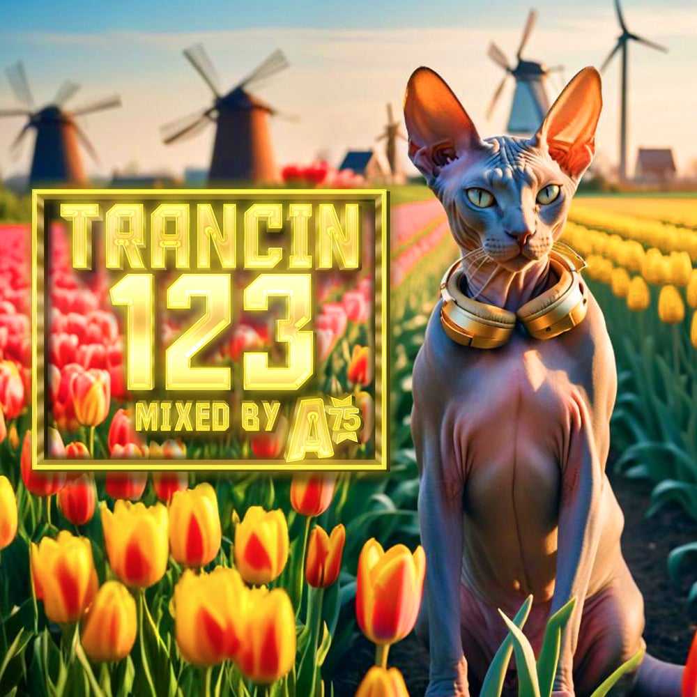 Trancin 123