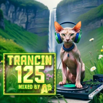 Trancin 125