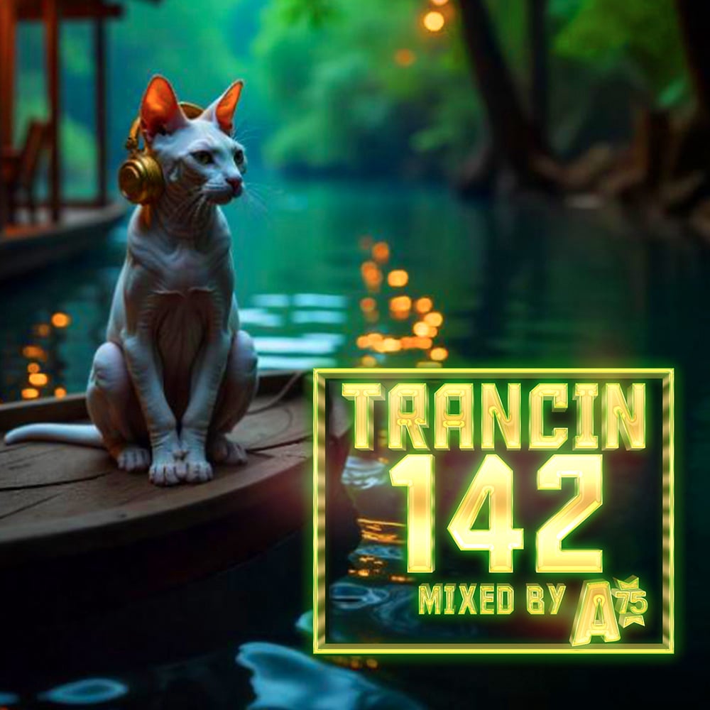 Trancin 142
