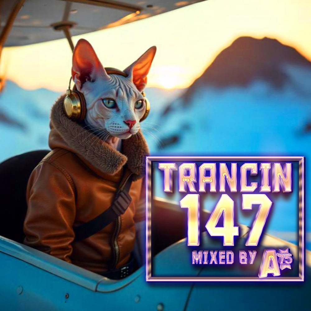 Trancin 147