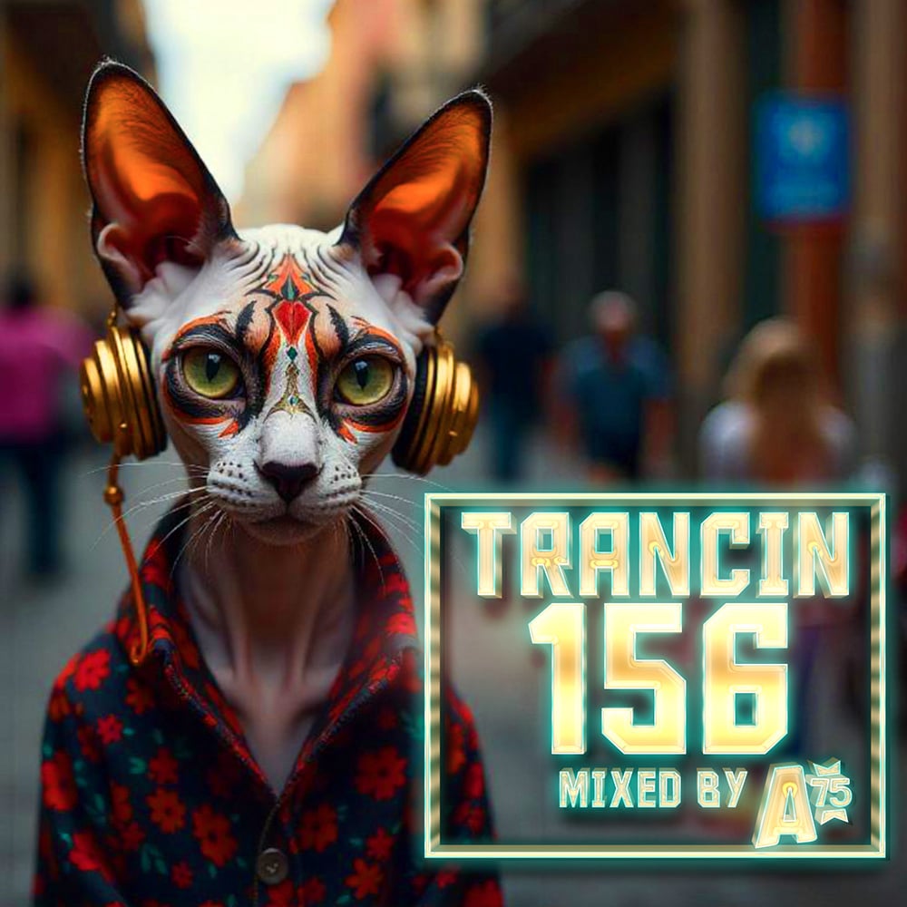 Trancin 156