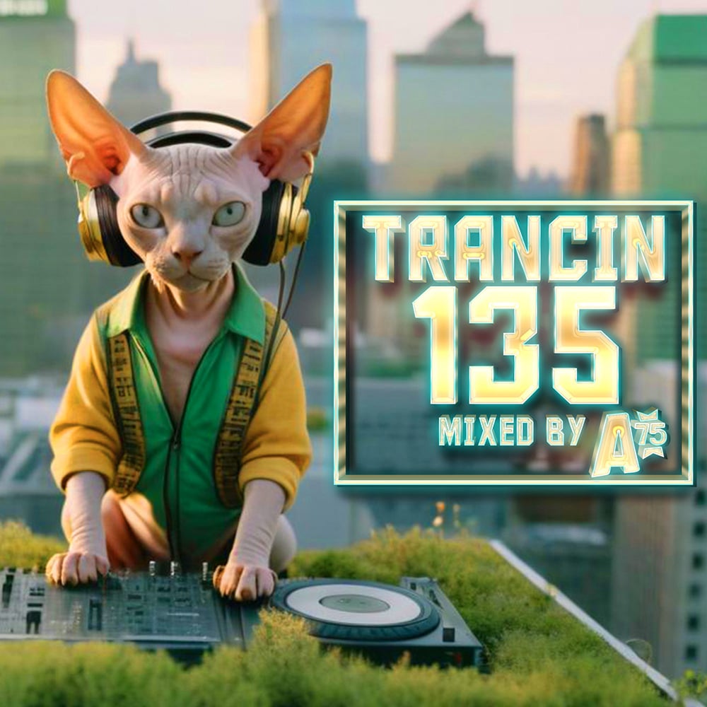 Trancin 135