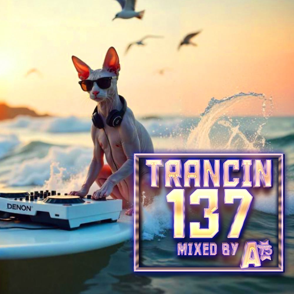 Trancin 137