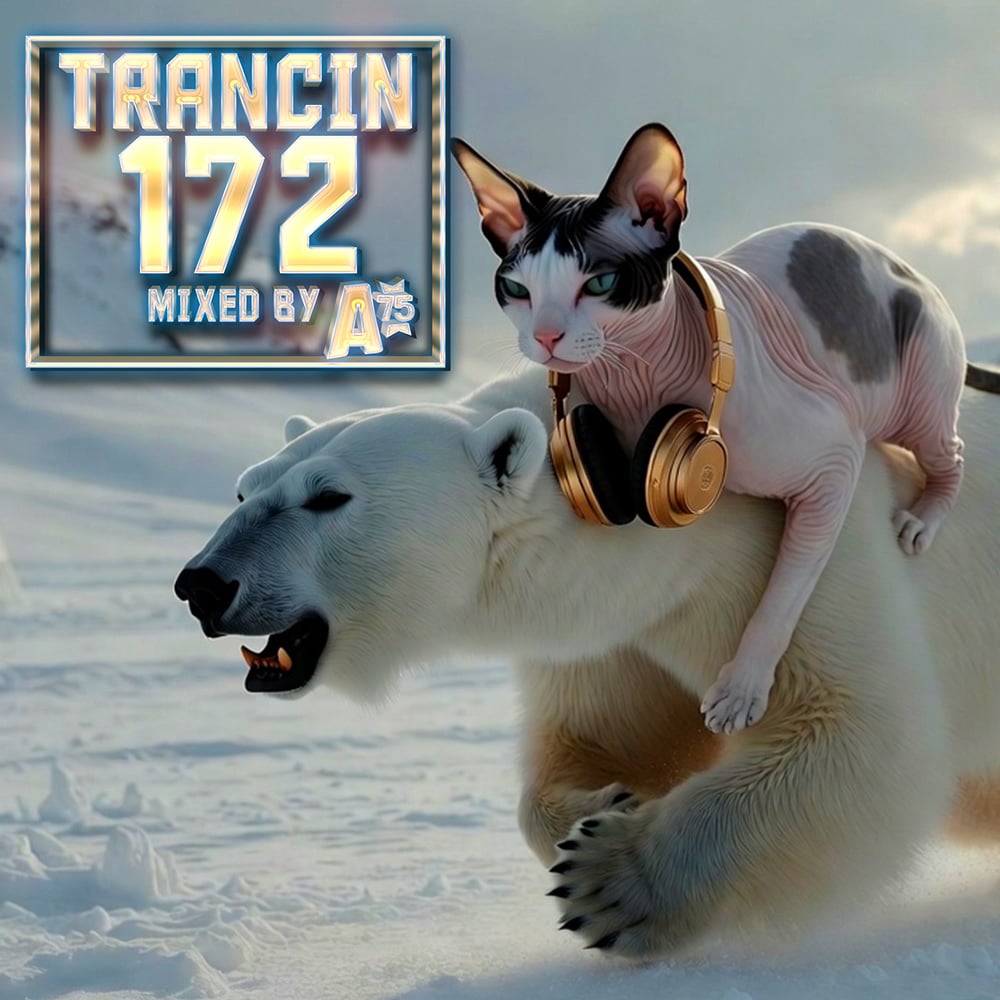 Trancin 172