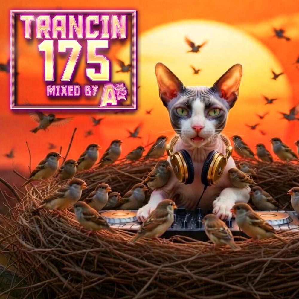 Trancin 175
