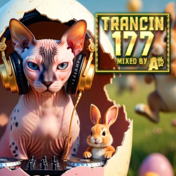 Trancin 177